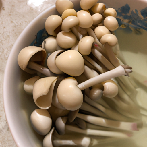 성인 어른 수족구 증상 확인방법과 치료까지