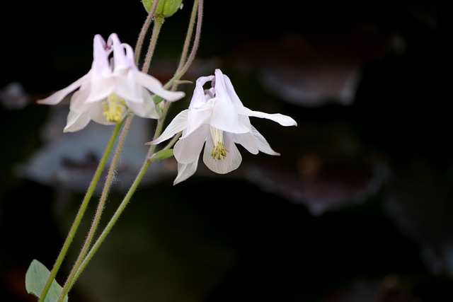 성인 어른 수족구 증상 확인방법과 치료까지