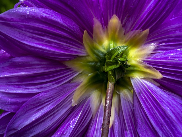 비오는날 무릎 아픈 이유 과학적으로 제대로 알아보기