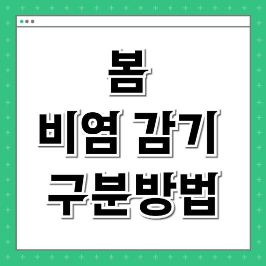 봄 비염 감기 구분